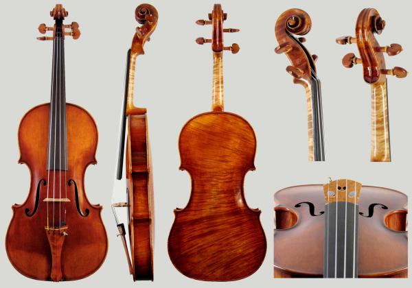 Various angles of the Dimitrov 2012 Guarneri violin