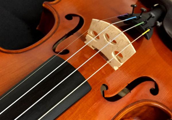 VN-102 violin front closeup