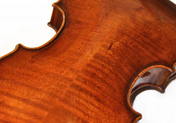 Back of Daniel's Topa violin