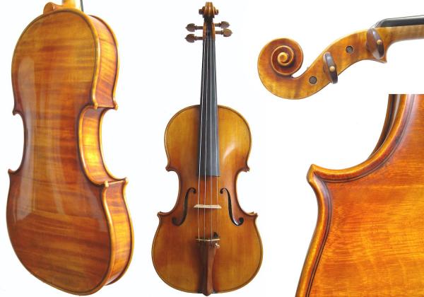 Dimitrov violin from various angles