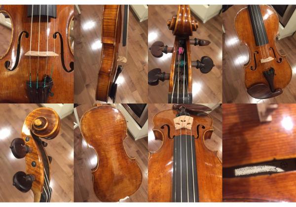 Many angles of a beautiful Topa violin including scroll, back, bridge, ribs, front, etc