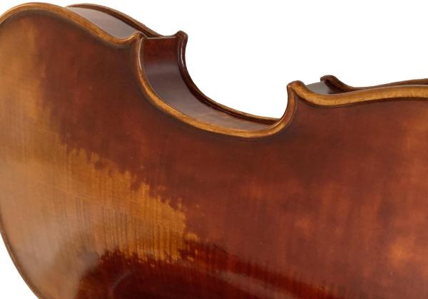 Back and ribs of reddish Valentina violin
