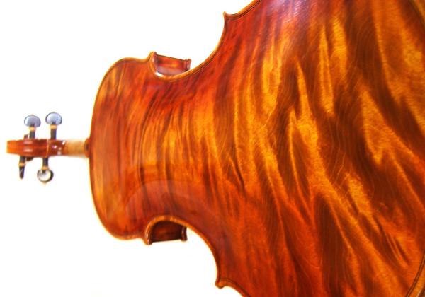 Marbled back flame of a Stankov violin