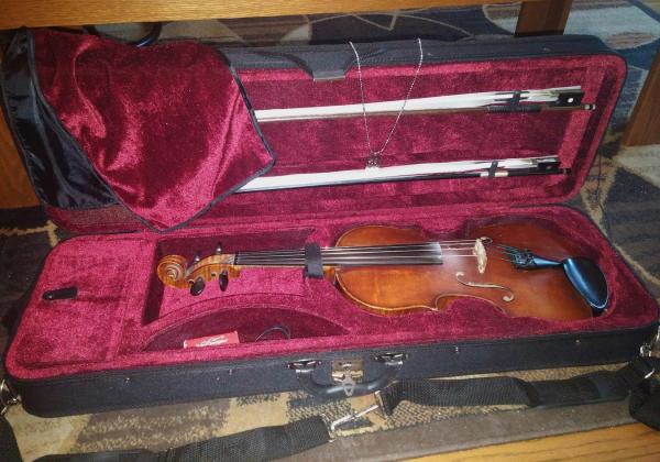 Oblong-shaped violin case with wine interior