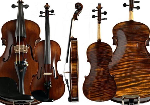 Various angles of a dark brown Bellissima violin