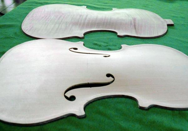 Front and back plates of a viola under construction and without varnish