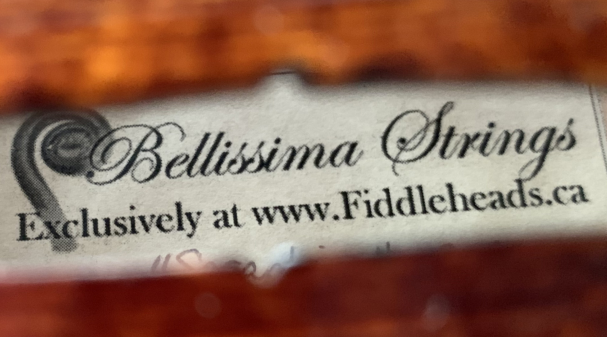 Bellissima - Fiddleheads Exclusive