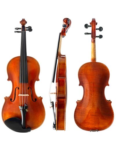 Bellissima "Camelia" Violin (1-Piece Back, Stradivarius)