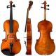 Bellissima Luciana violin front, side and back
