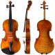 Bellissima Stefania violin front, side and back