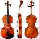 Fiddleheads' Sun VN-101L Student Violin (Custom Left-Handed)