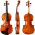 Fiddleheads Sun VN-101 Student Violin - Most Sizes