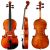 Fiddleheads' Sun VN-101L Student Violin (Custom Left-Handed)