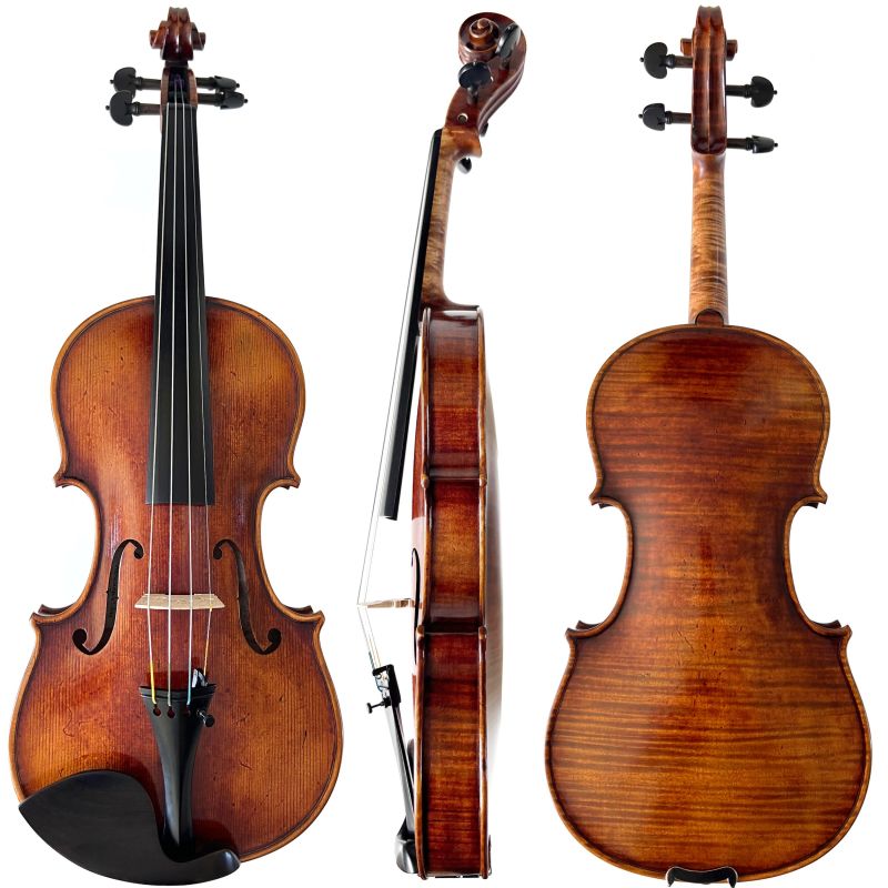 Bellissima "Gabriella" 4/4 Violin 1-piece back Fiddleheads Violin Studio