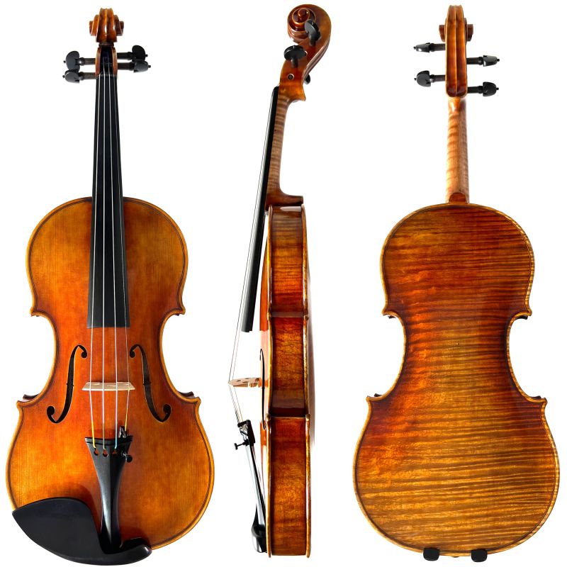 Violin Fiddleheads Studio