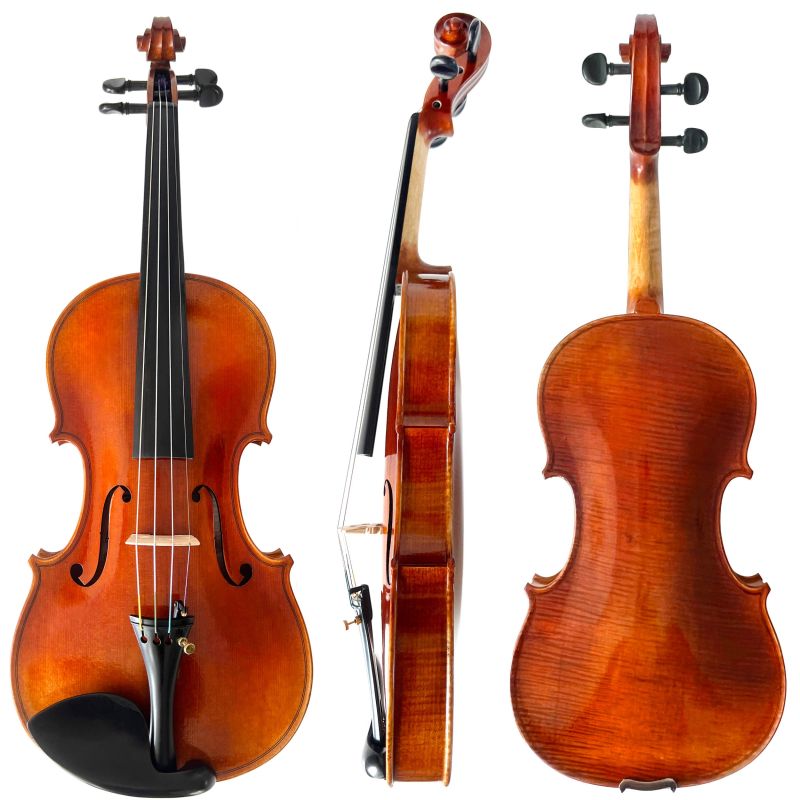 Bellissima Series 4/4 Camelia Violin 