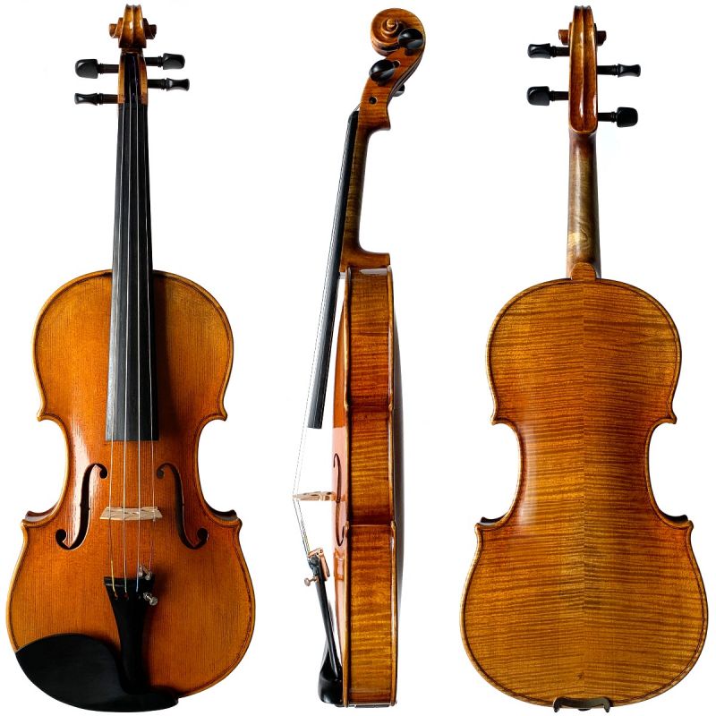 Bellissima Carlotta 4/4 Violin -  Fiddleheads Violin Studio