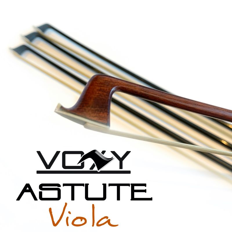 Voxy Carbon Fibre Bows: Level 4 