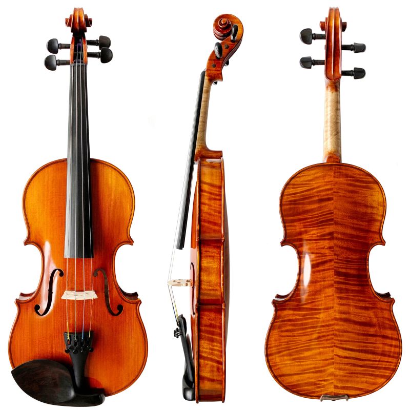 VN-102　Sizes　Student　Violin　Most　Fiddleheads　Violin　Studio　Fiddleheads'　Sun