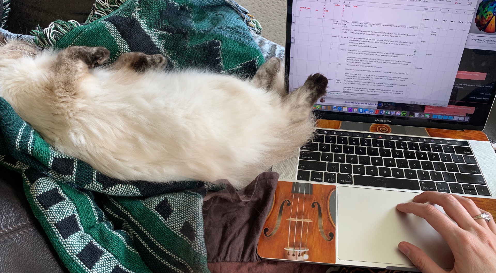 POV of laptop user's laptop and hand with cat sleeping on her back with her foot blocking some of the laptop