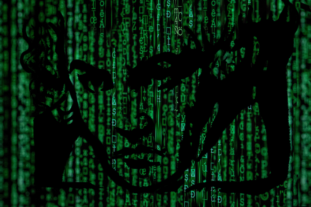 Beethoven in green matrix movie code