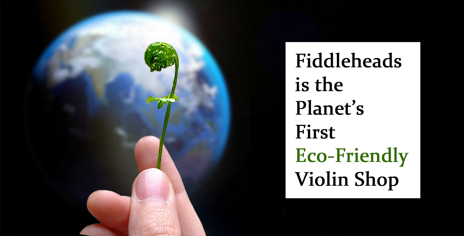 hand holding fiddlehead fern branch with the earth in the background, text says 