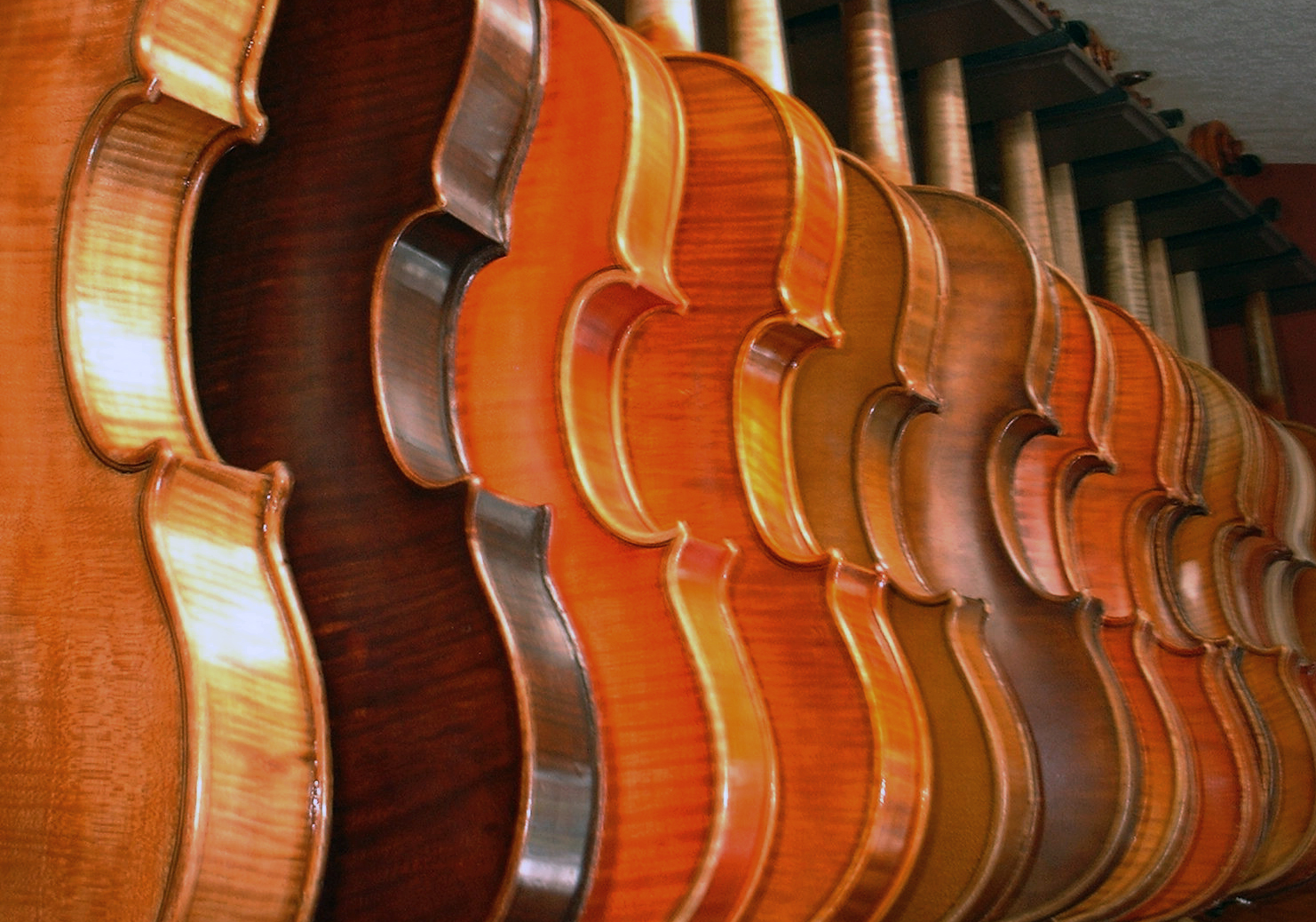 Violins hanging side by side in Fiddleheads' shop