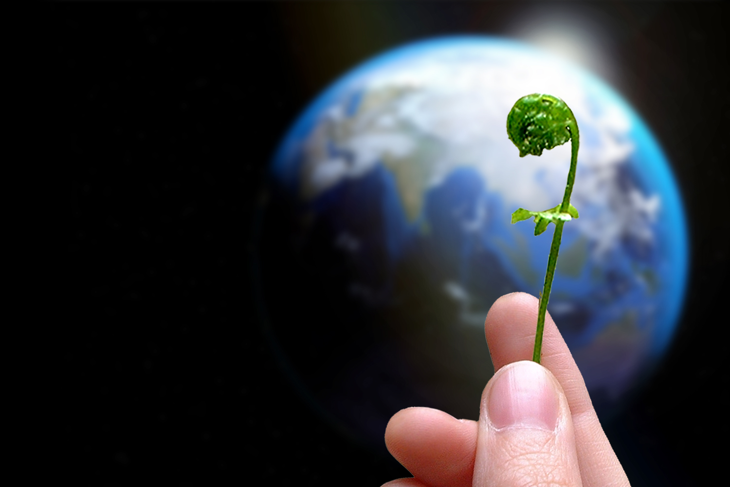 Rhiannon's hand holding a fiddlehead fern with a photo of planet Earth in the background