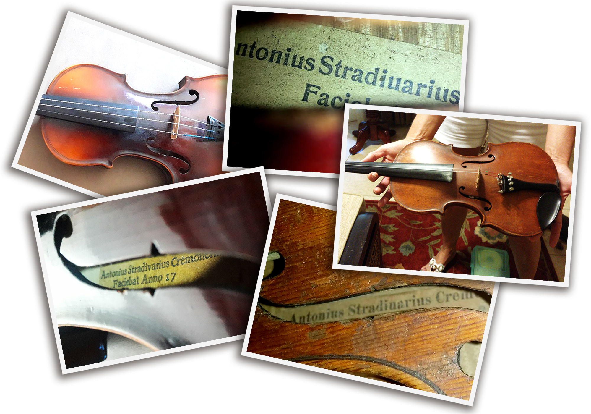 various photos of fake Strad violins spread out across each other