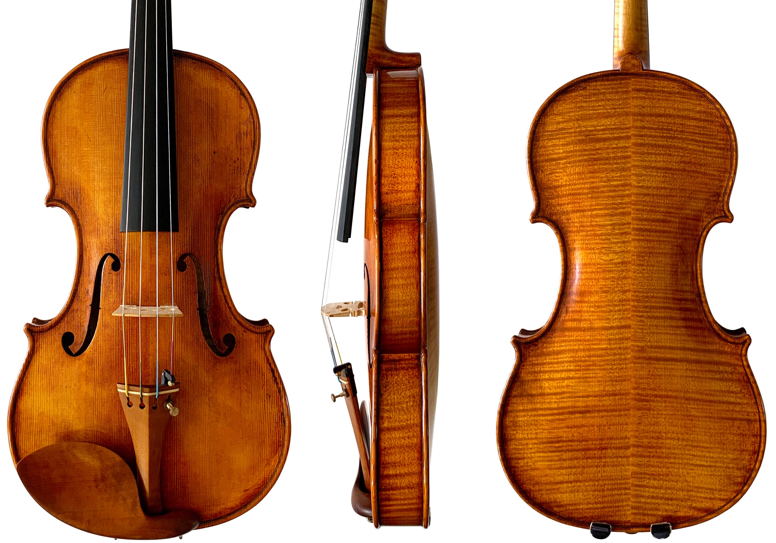 Front, side and back of a Stankov Rose Valley violin