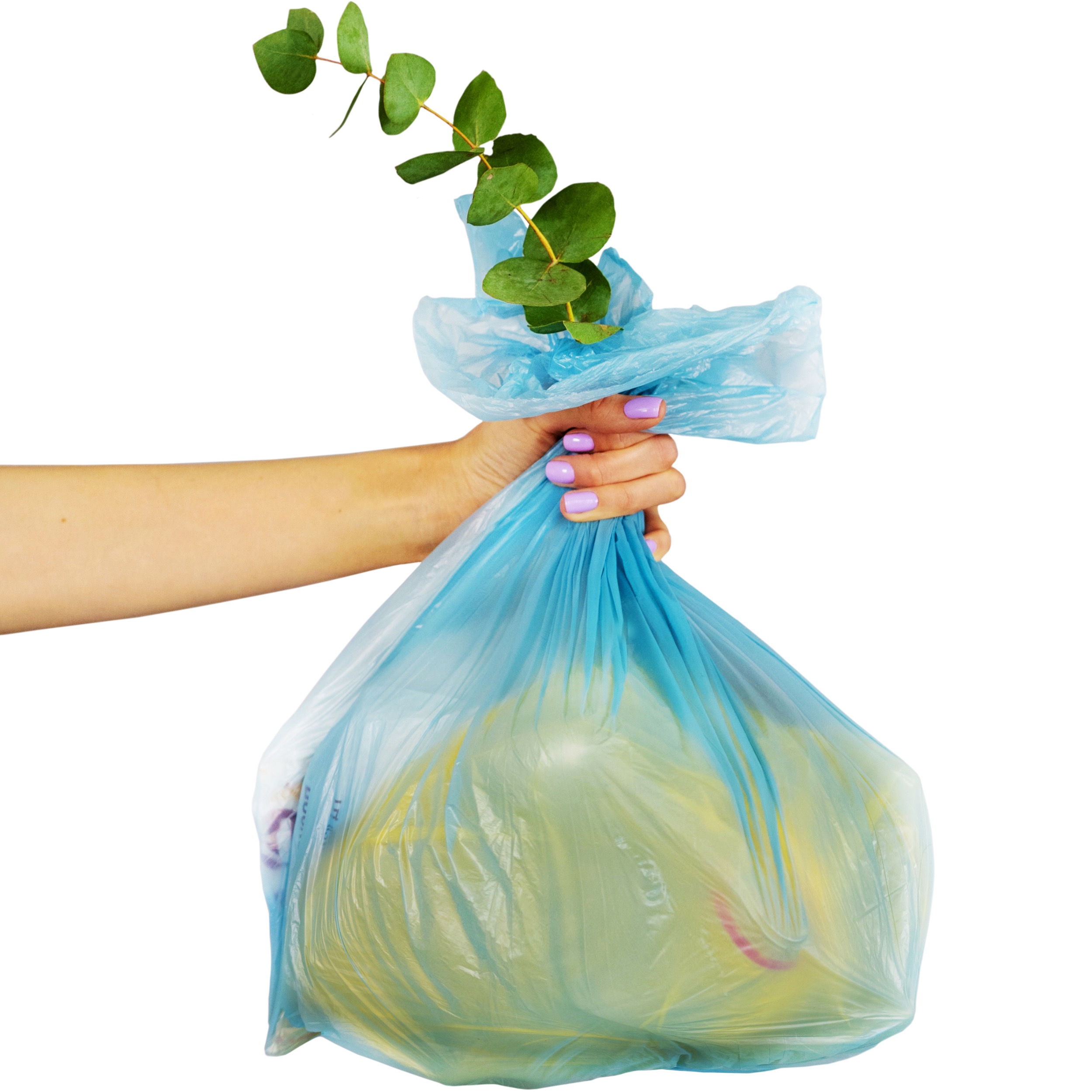woman's hand holding a bag full of recycling with a green leafy plant coming out the top