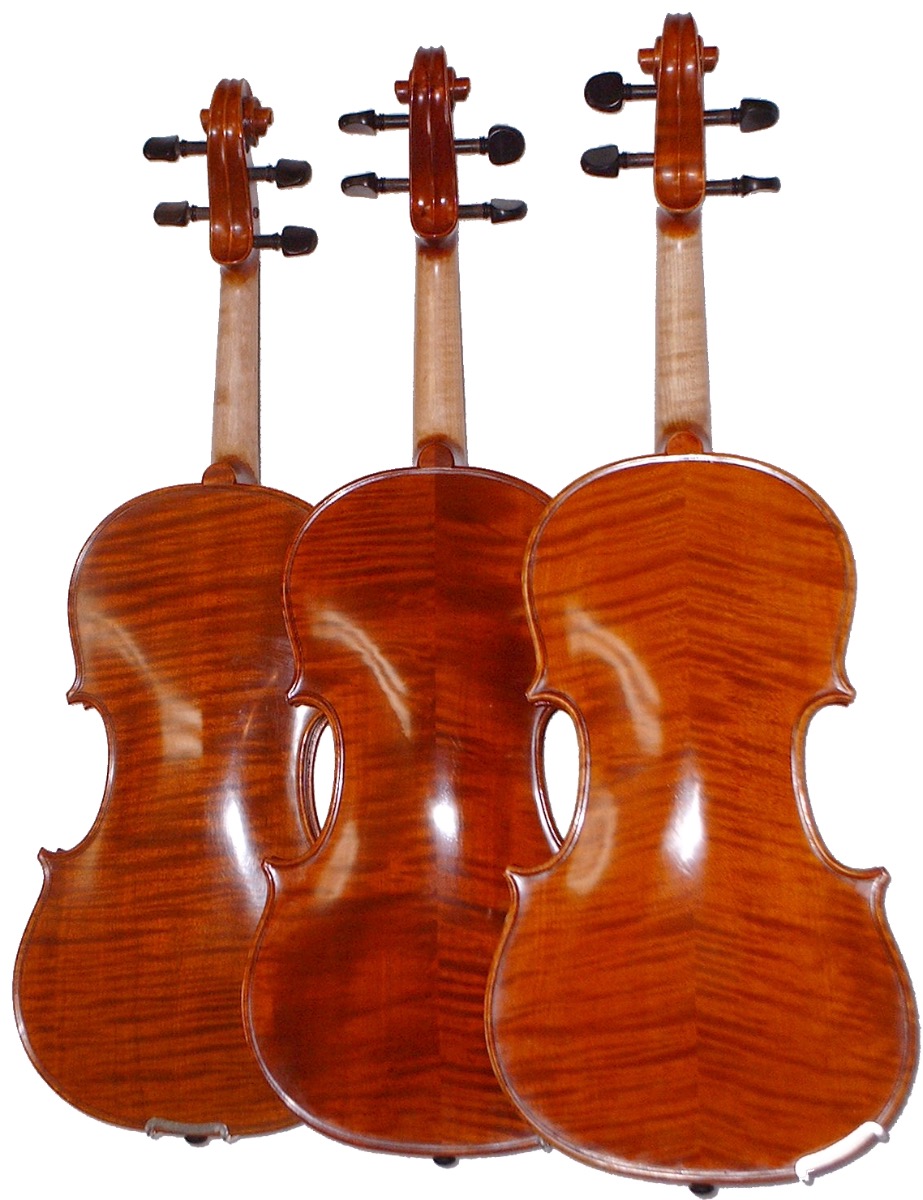 Sun violins' backs