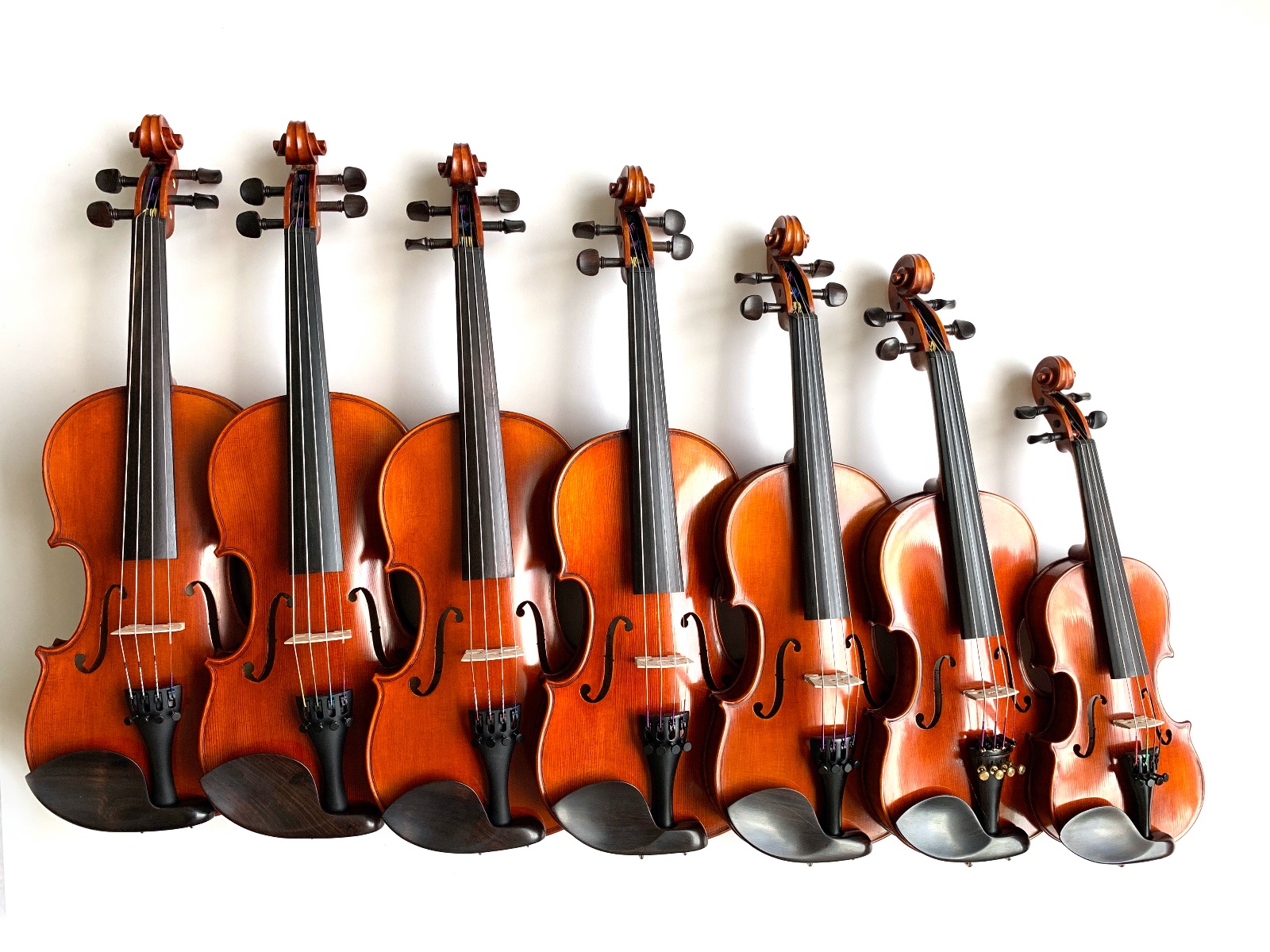 row of violins large to small sizes