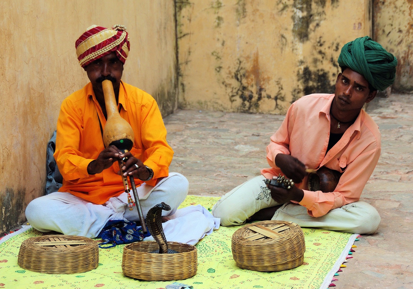 snake charmers and a snake