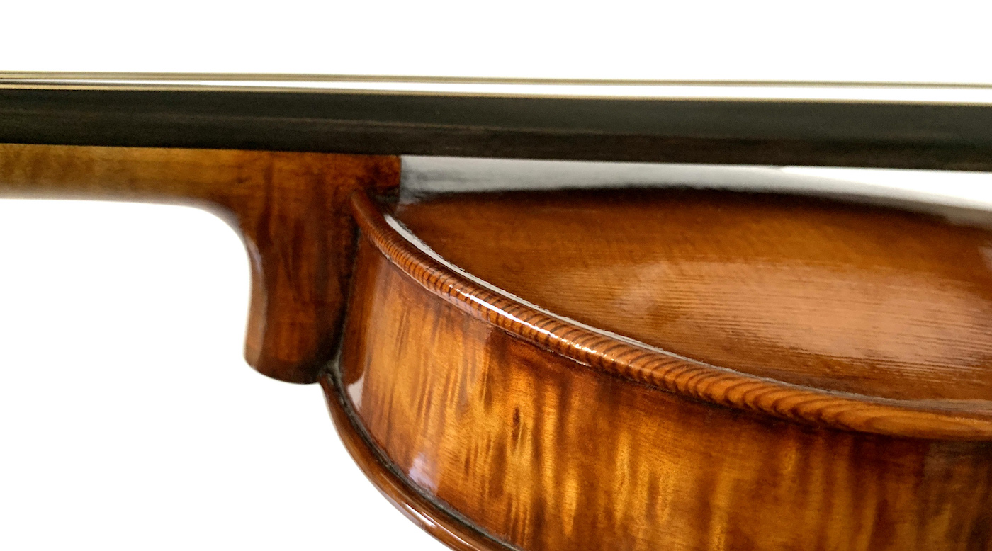 violin neck and fingerboard