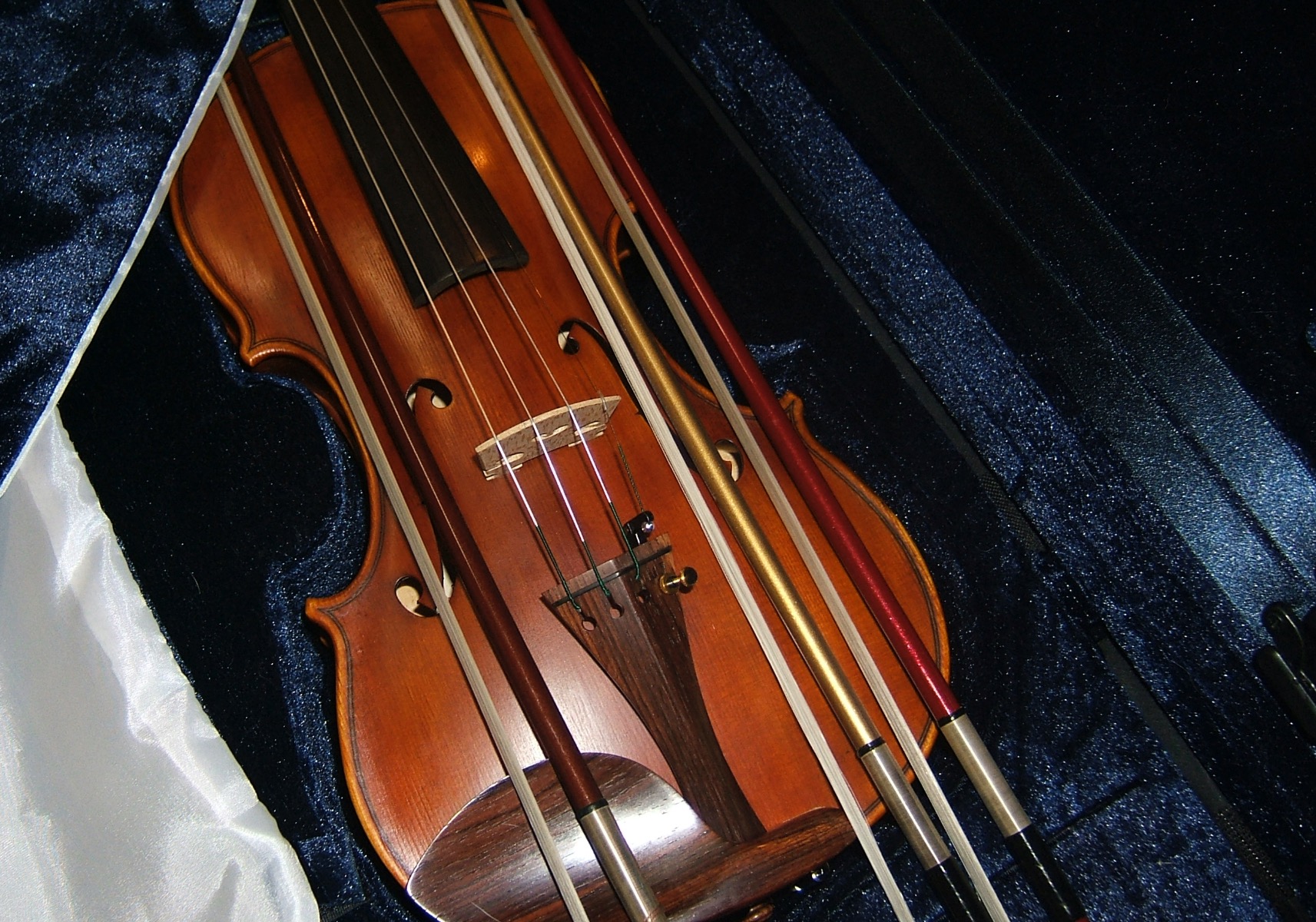 Violin in a case with two coloured bows 