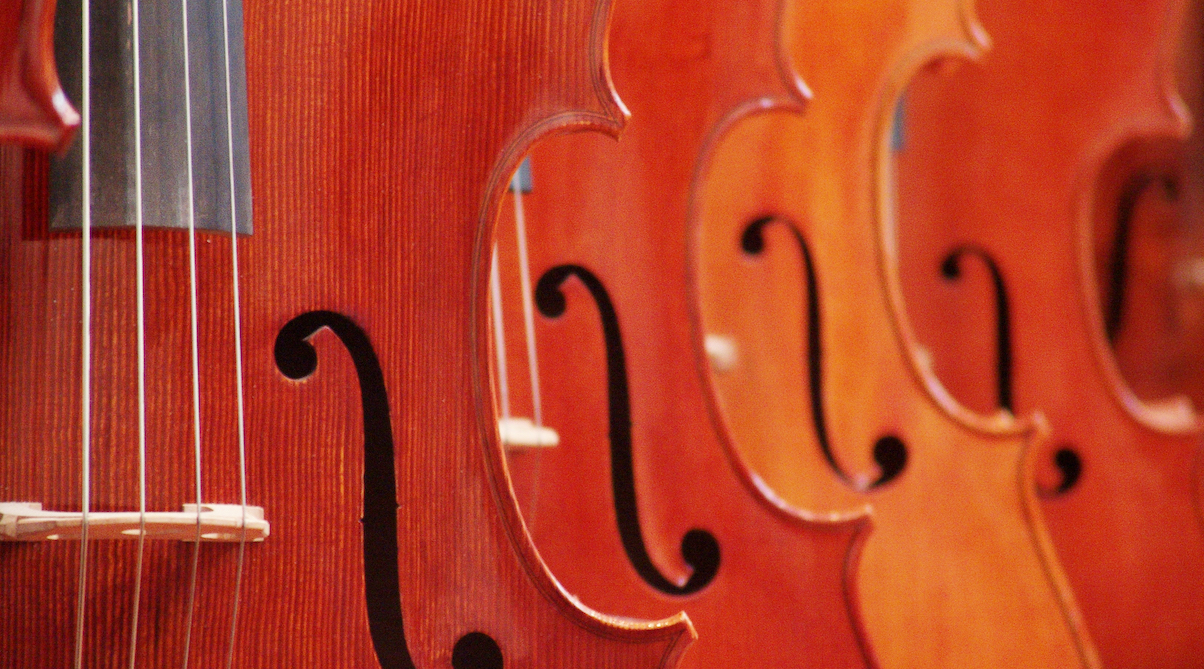row of violins up close