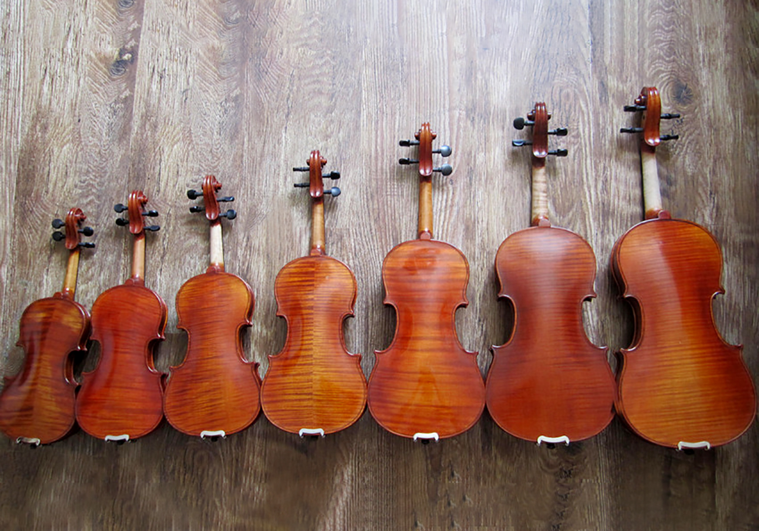 row of violins lined up small to large on a hardwood plank floor