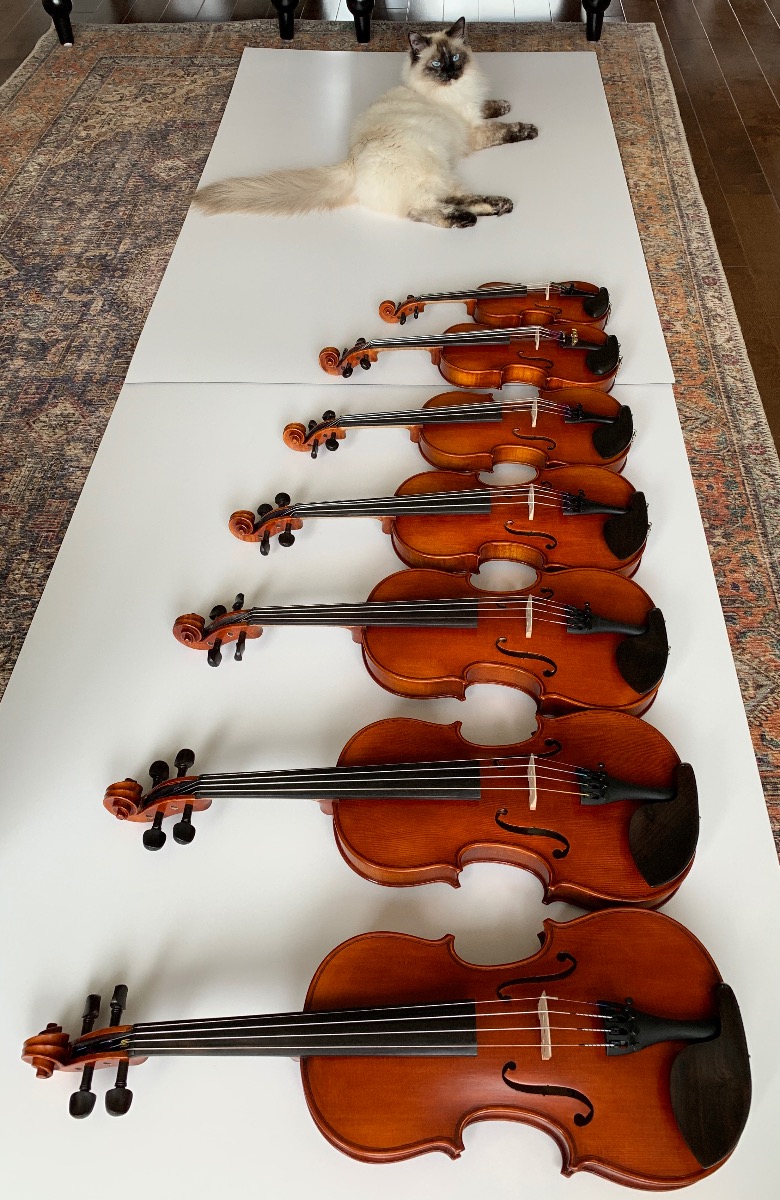 Custom Left-Handed Violins -  Fiddleheads Violin Studio