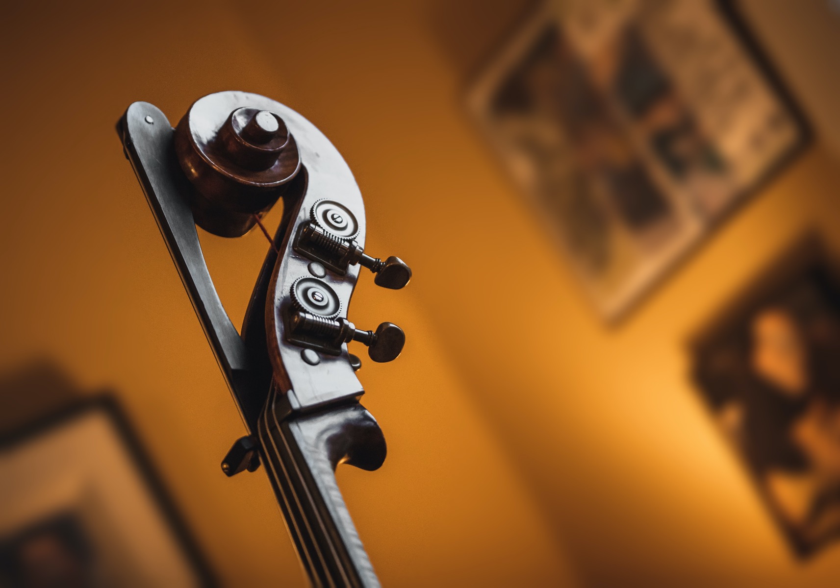 Upright bass scroll with framed photos in background