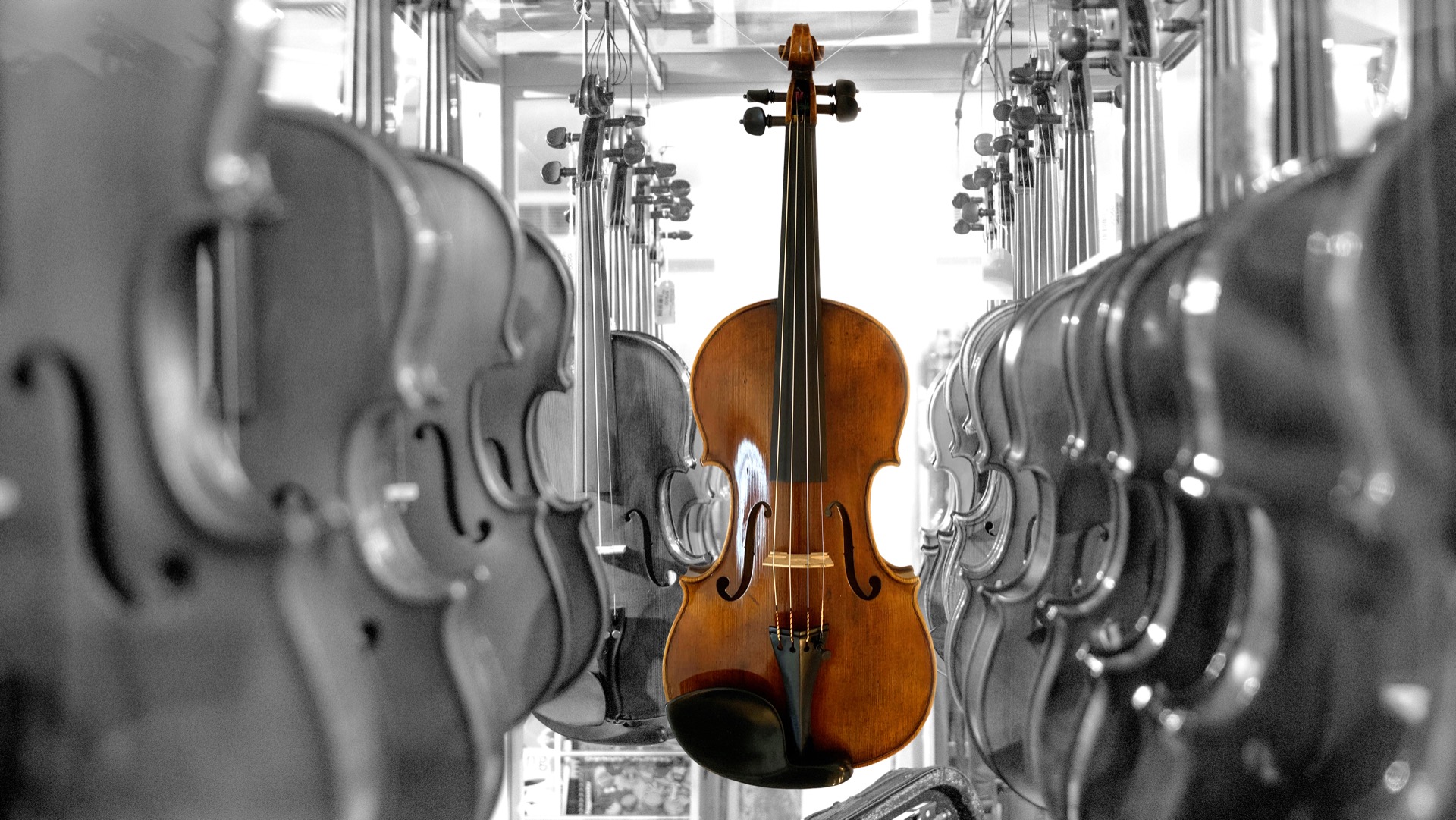 variety of violins in black and white with one colour one in the middle