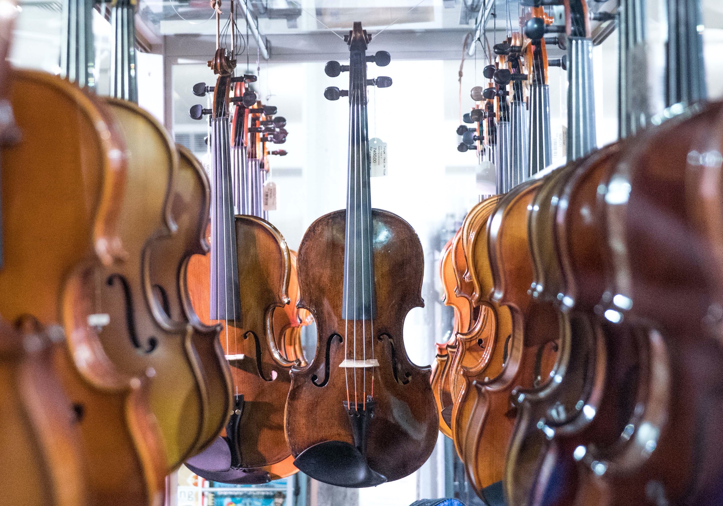 Rows of violins for sale