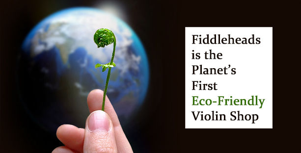 Fiddleheads is the Planet's First Eco-Friendly Violin Shop